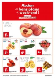 Catalogue Auchan