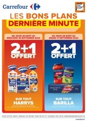 Catalogue Carrefour