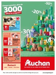 Catalogue Auchan Toulouse