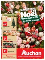 Catalogue Auchan