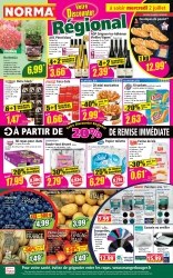 Catalogue Norma Epinal
