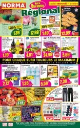 Catalogue Norma Epinal