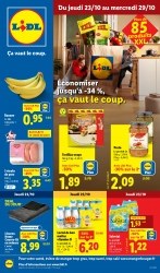 Catalogue Lidl Sannois